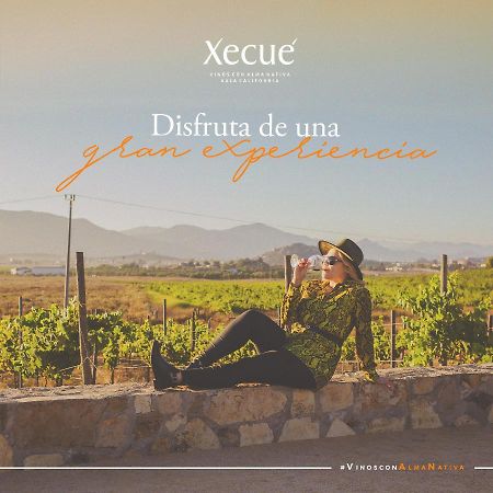Vinos Xecue Hotell Ensenada Eksteriør bilde