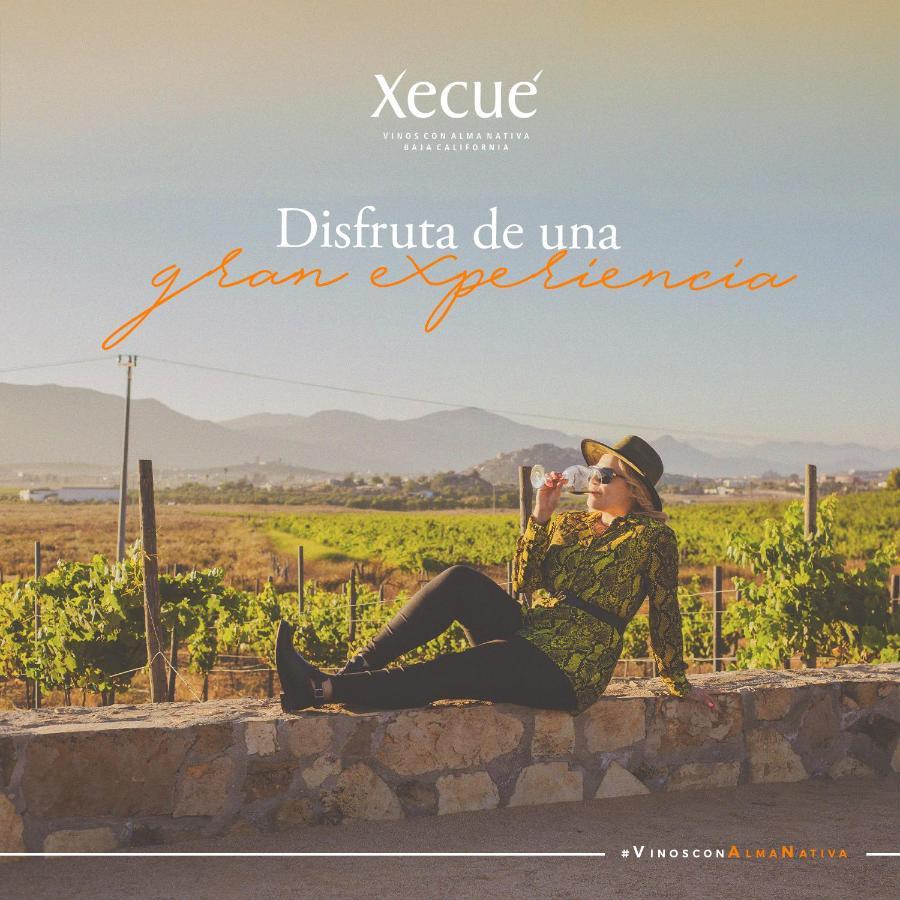 Vinos Xecue Hotell Ensenada Eksteriør bilde